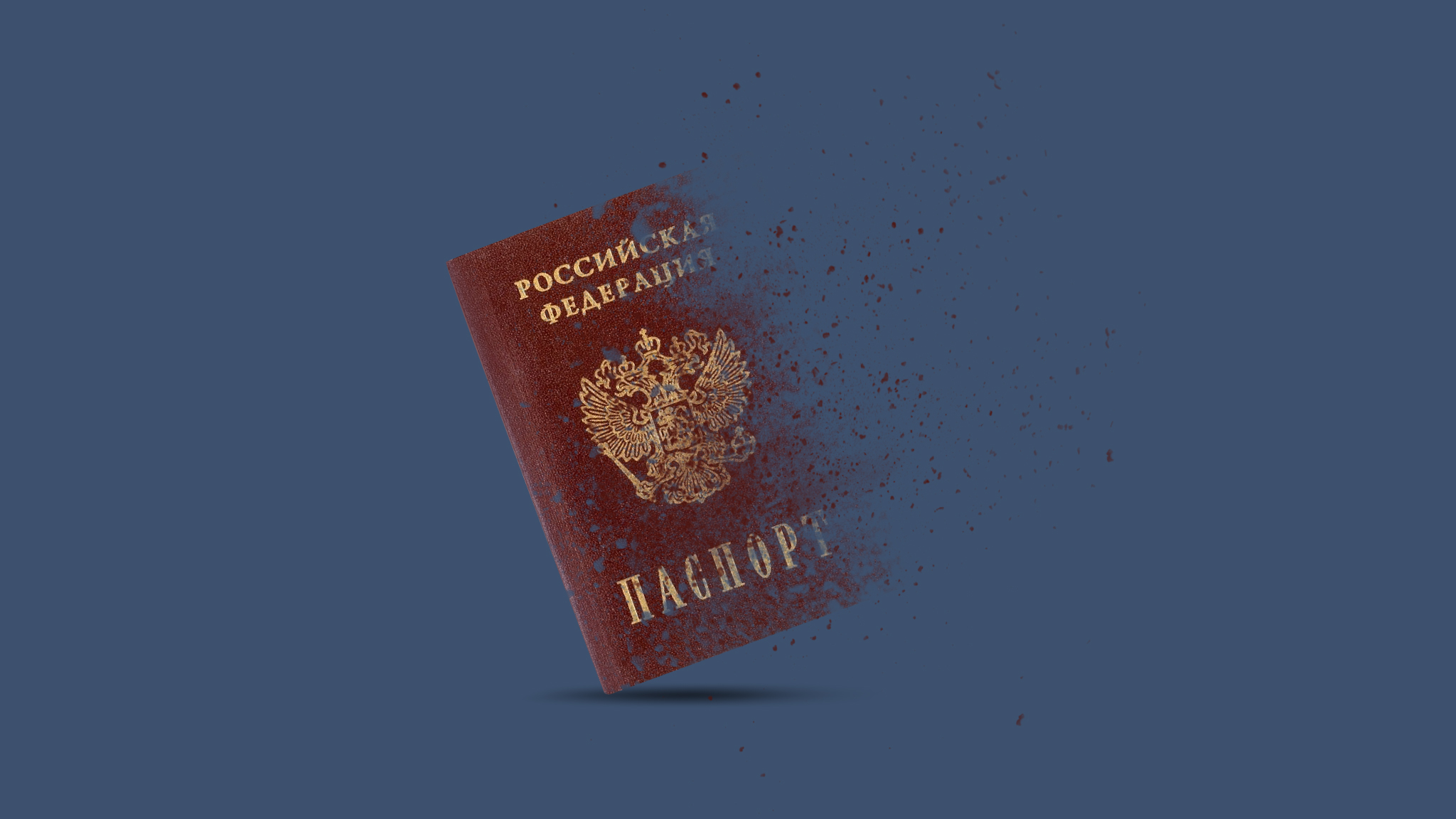 Как восстановить паспорт во время войны: инструкция