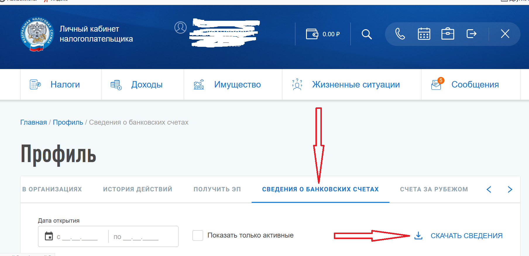 Профиль в личном кабинете налогоплательщика. Профиль в личном кабинете. Счета в личном кабинете налогоплательщика. Вкладка профиль в личном кабинете налогоплательщика.