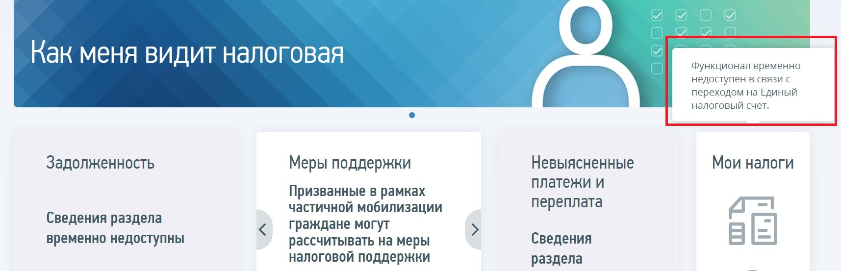 У ИП появилось отрицательное сальдо по ЕНП в личных кабинетах физлица