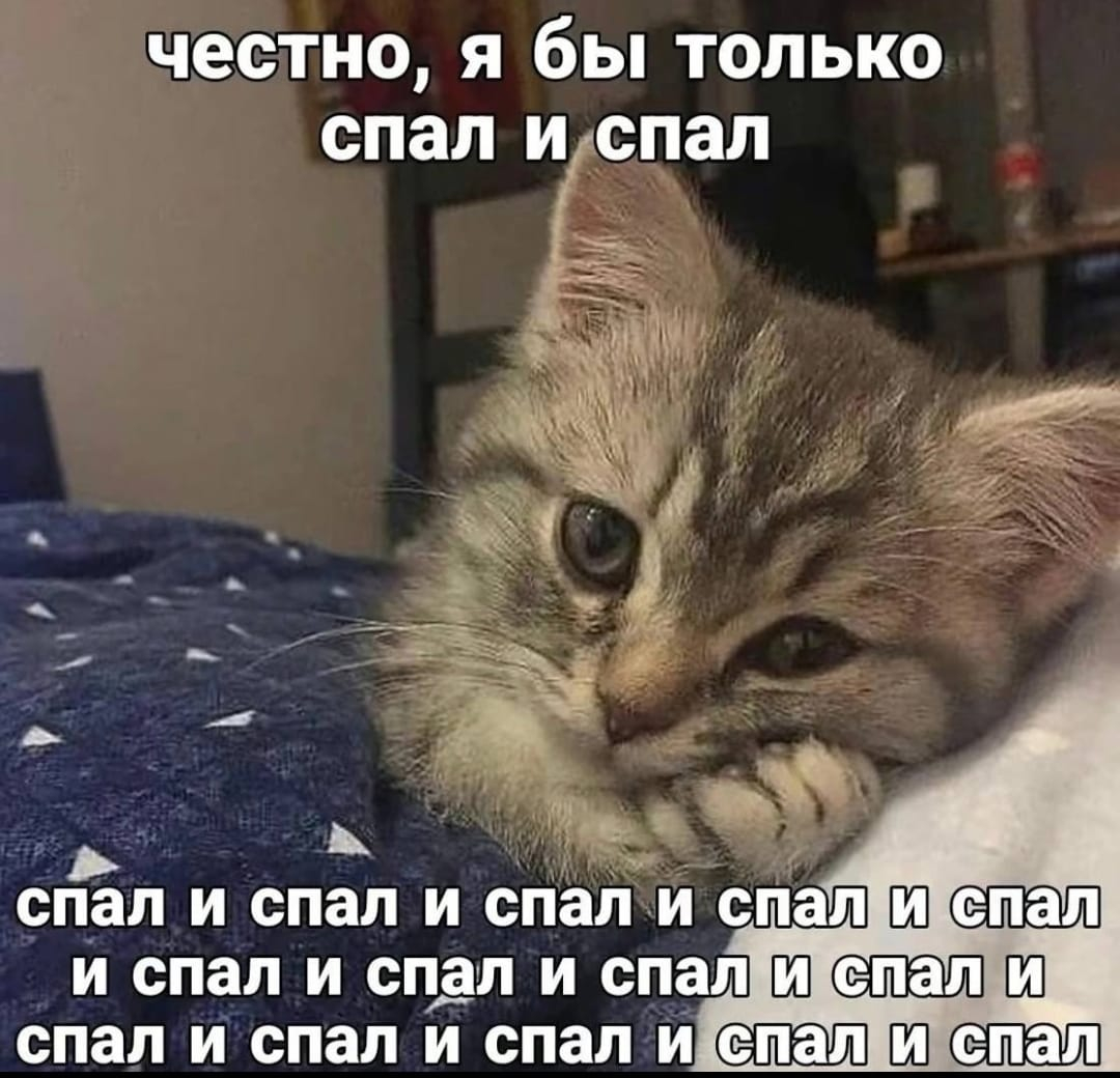 Изображение WhatsApp 2025-01-14 в 07.46.25_3c85b00d.jpg