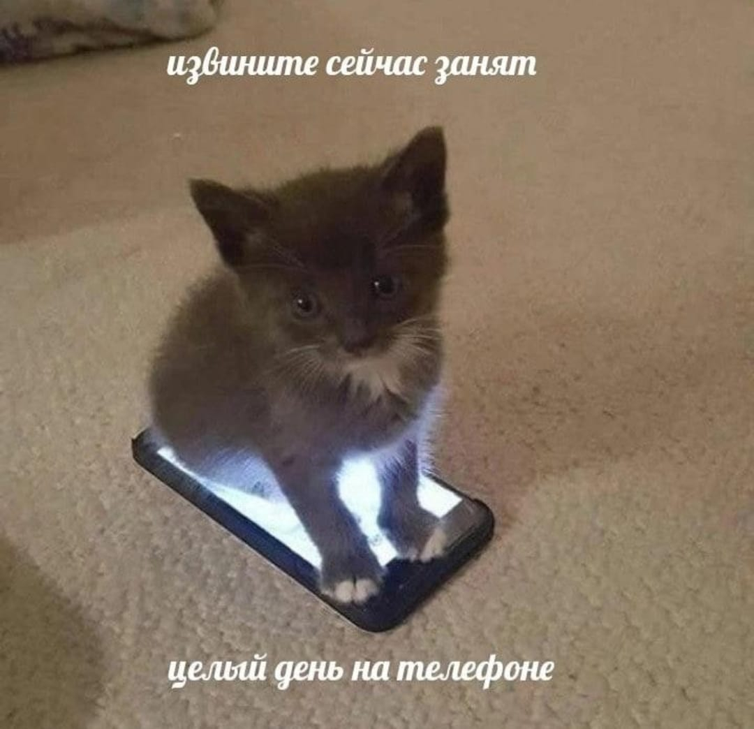 Изображение WhatsApp 2024-12-19 в 06.43.43_ab7258ec.jpg