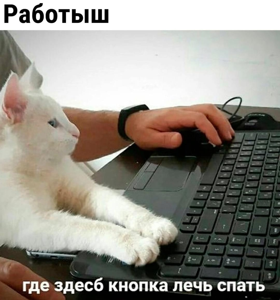 Изображение WhatsApp 2024-11-11 в 20.51.32_1d7393df.jpg