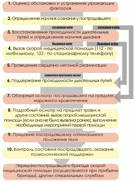 Универсальный алгорит 1 помощи.png